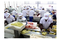 鑄鐵鑲銅圓閘門用于卷揚(yáng)式啟閉機(jī)裝置